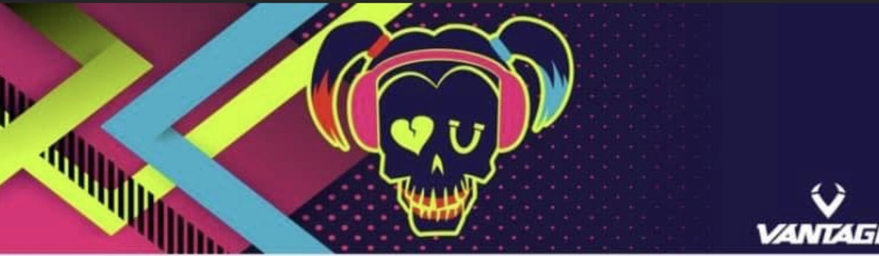 Main image of Suicide Squad Girls Wrestling