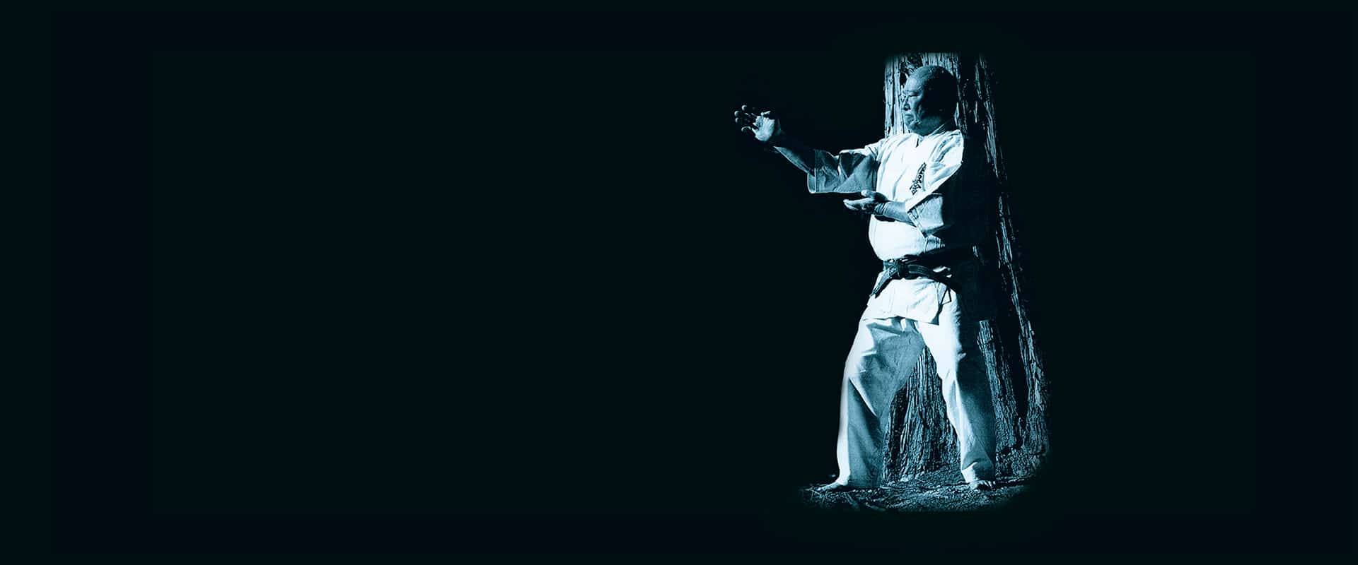 Main image of Svendborg Karate Kyokushinkai Klub