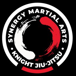 Main image of Synergy Martial Arts Academy