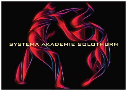 Main image of Systema Akademie Solothurn