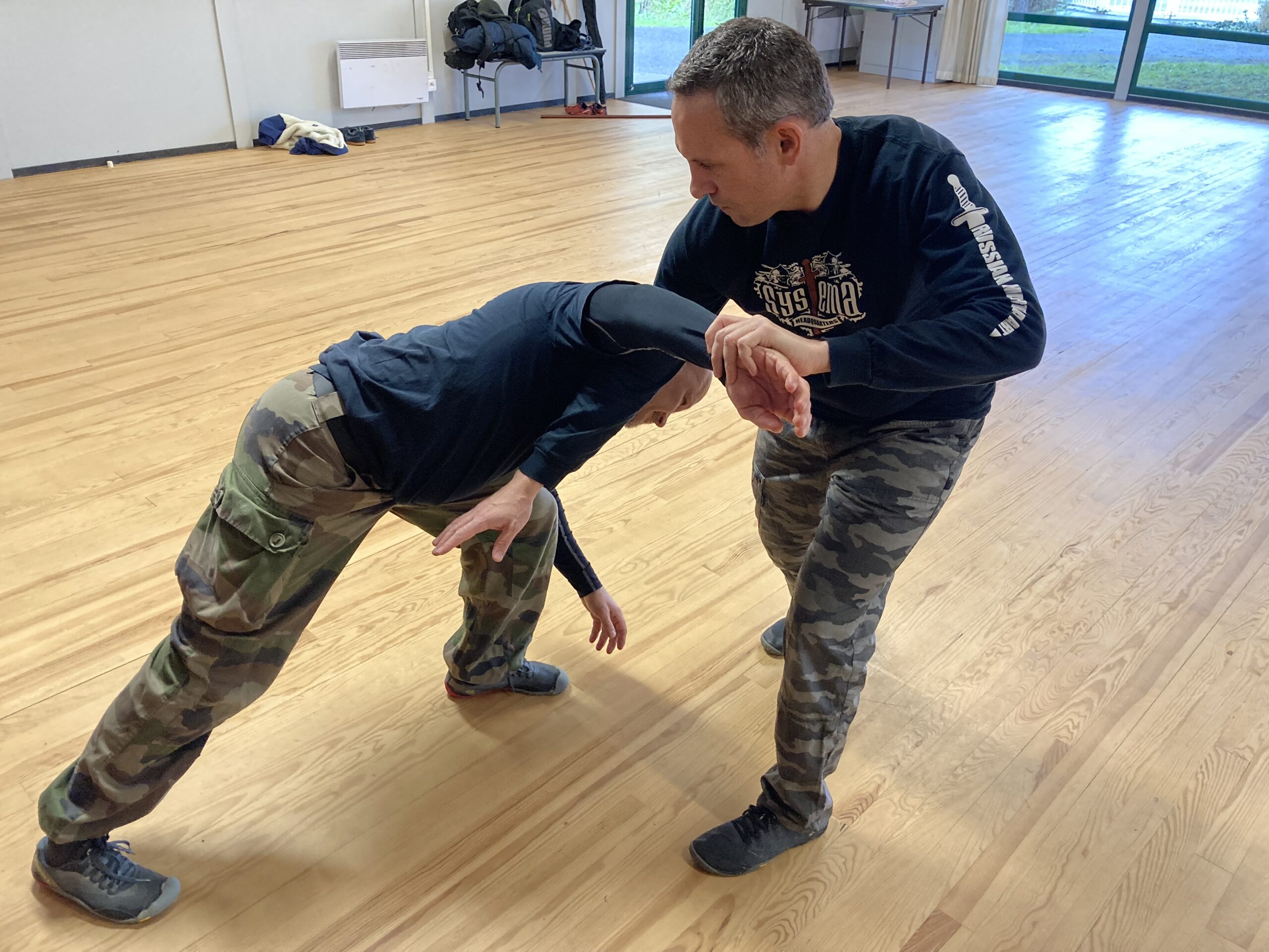 Main image of Systema Atlantique