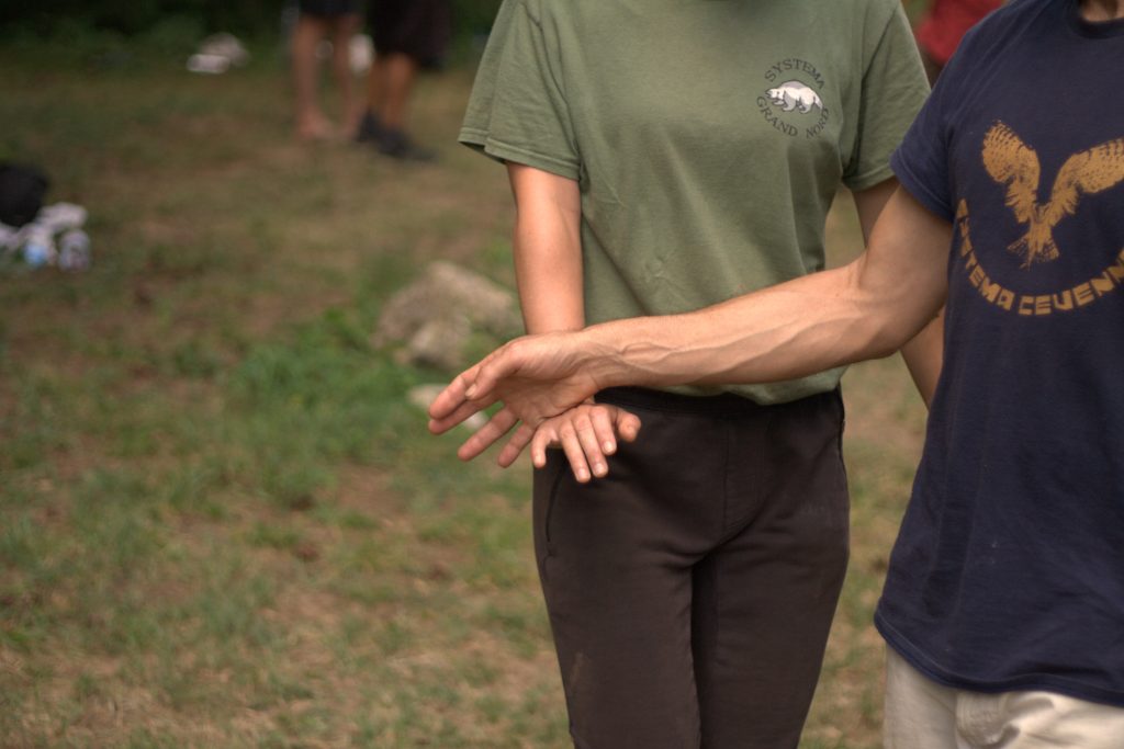Main image of Systema Cévennes