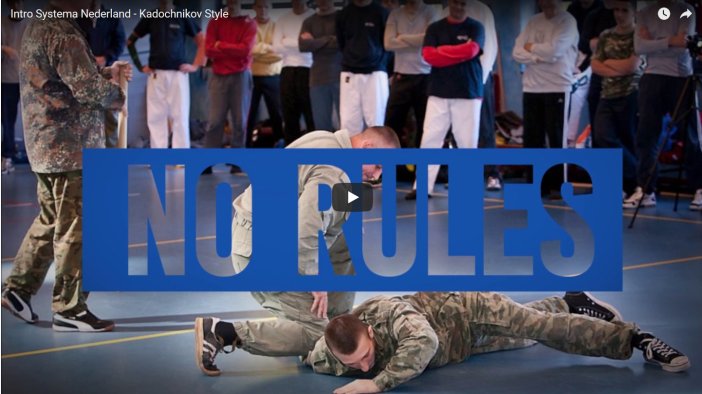 Main image of SYSTEMA Nederland