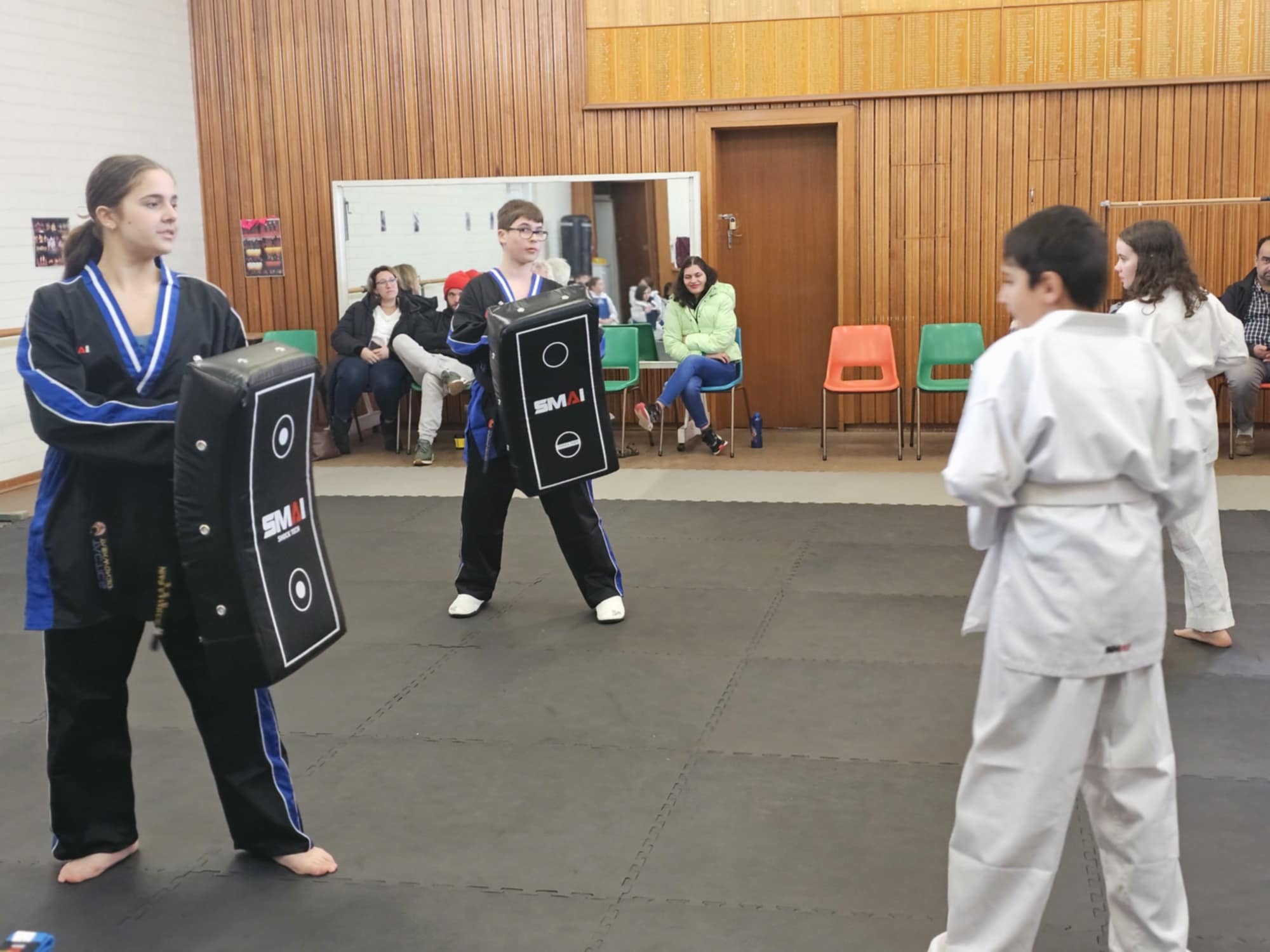 Main image of Tactics Taekwondo