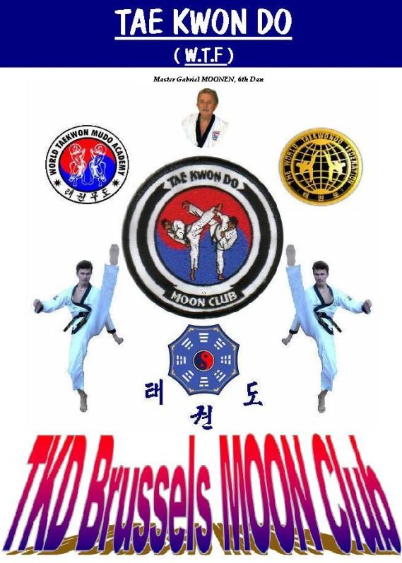 Main image of Tae Kwon Do Brussels MOON Club