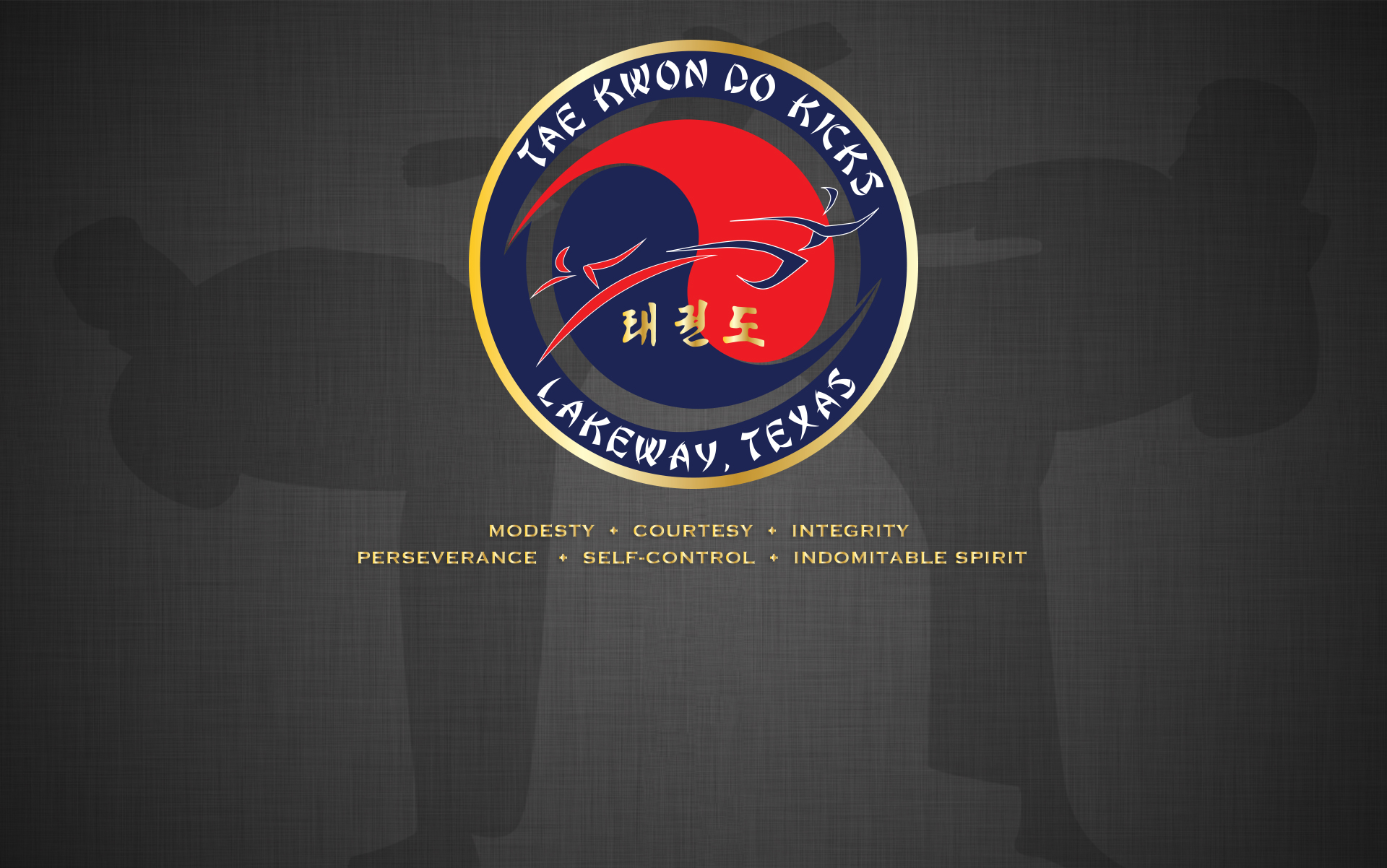 Main image of Tae Kwon Do Kicks Lakeway