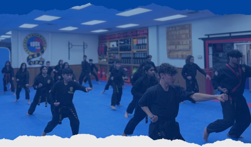 Main image of Taecole Tae Kwon Do and Fitness