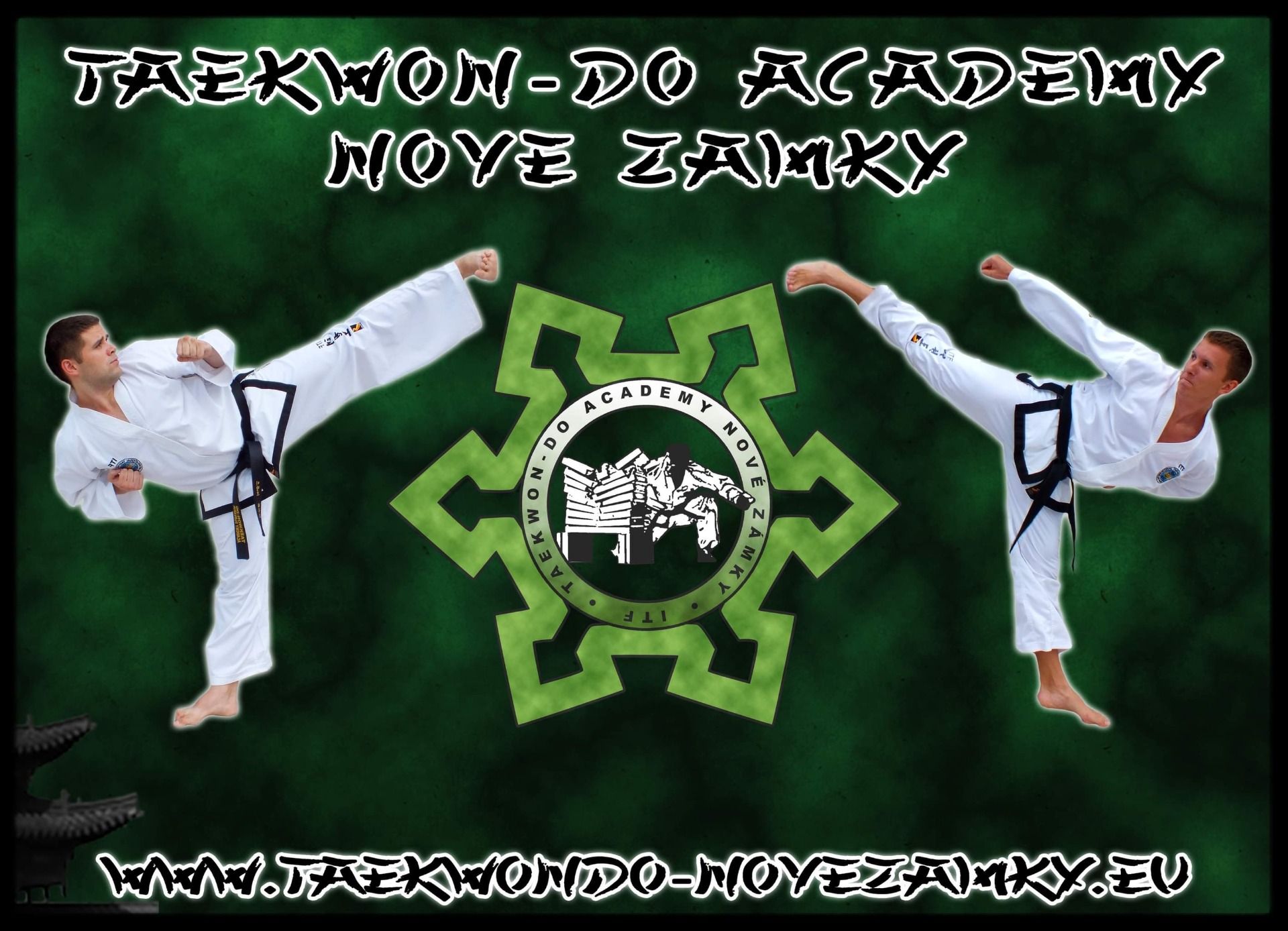 Main image of Taekwon Do Academy