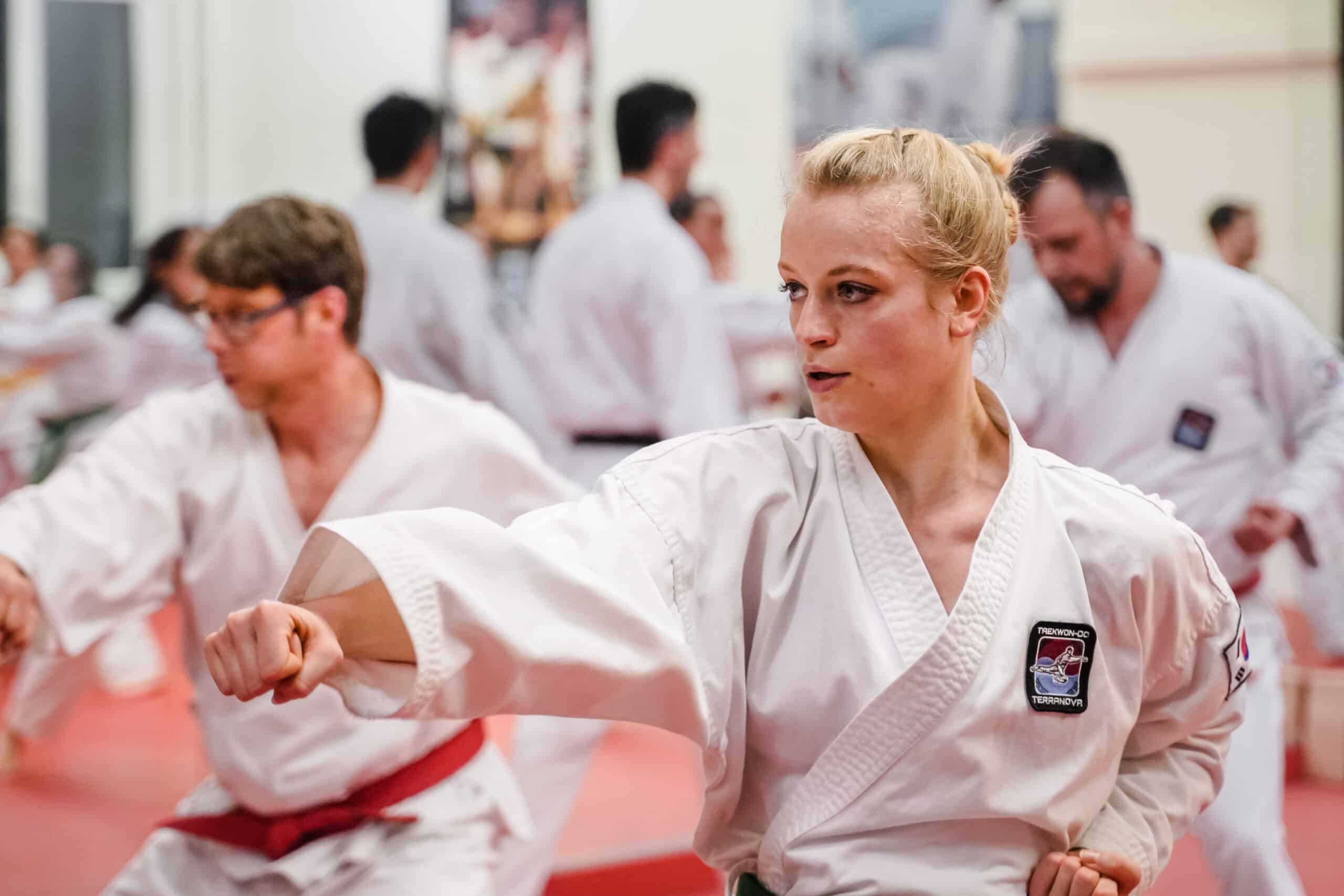Main image of Taekwon-Do Center Terranova