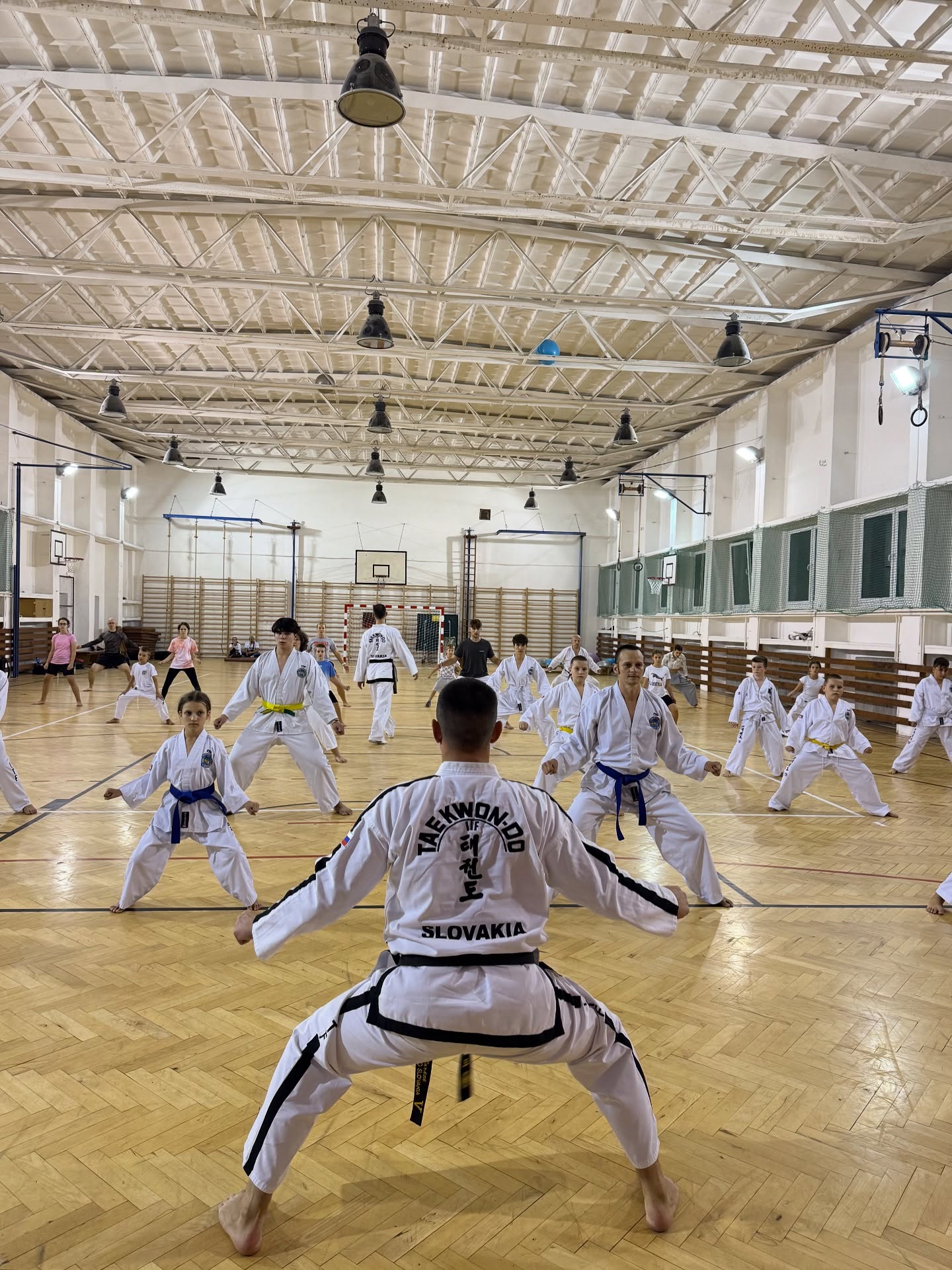 Main image of Taekwon-do I.T.F Pezinok