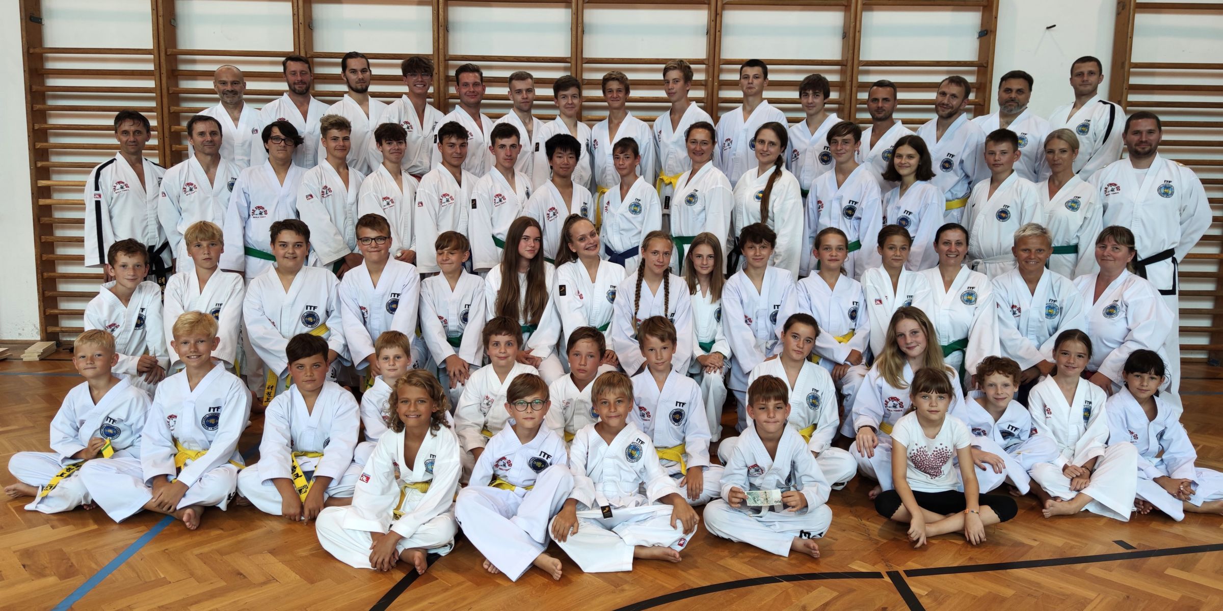Main image of Taekwon-do ITF škola Tong-il