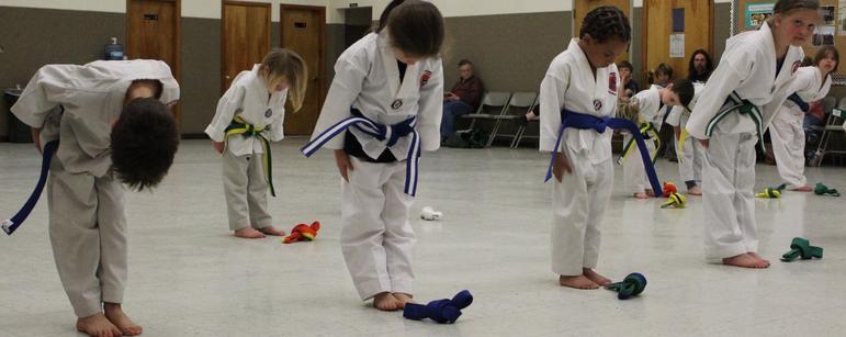 Main image of TaeKwon Do K.I.C.K.S.