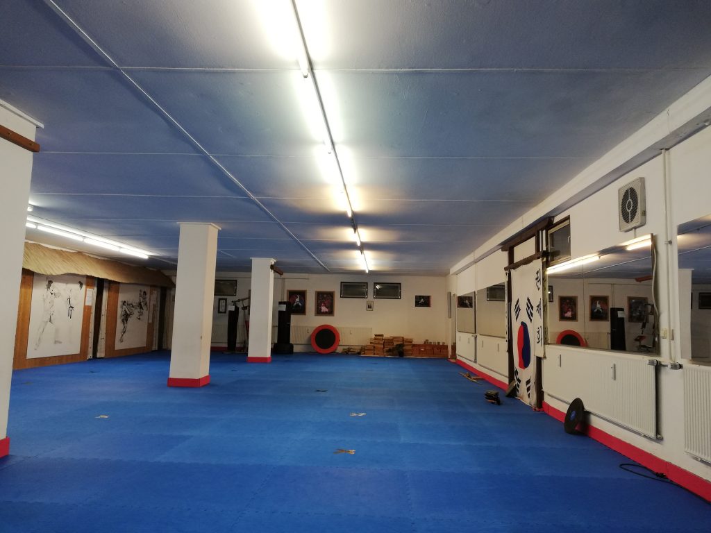Main image of Taekwon-Do