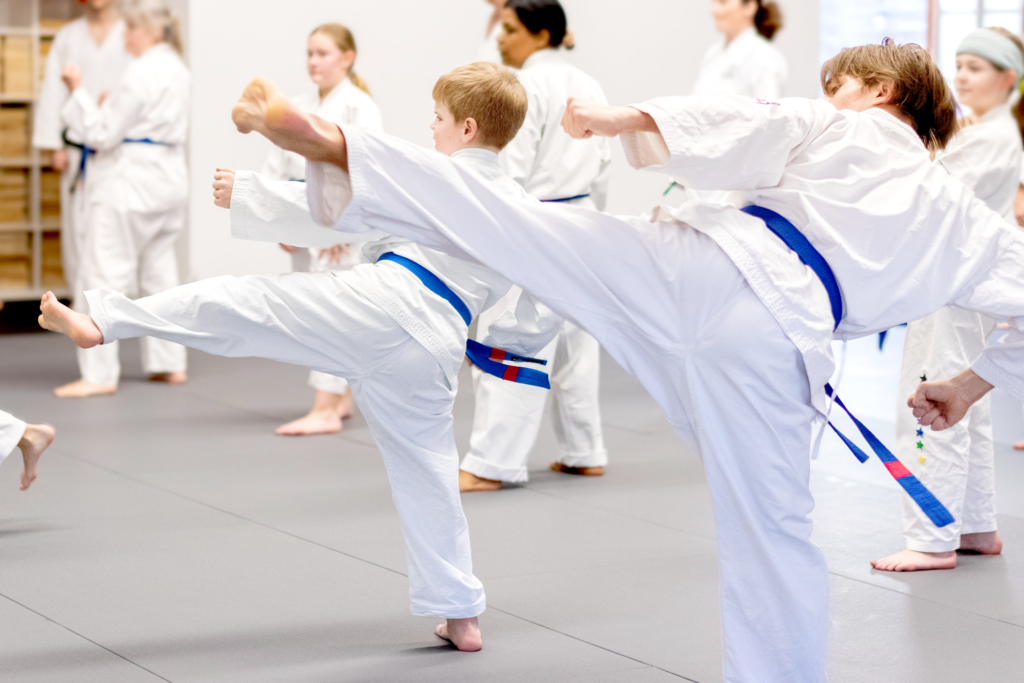 Main image of Taekwon-Do Obing