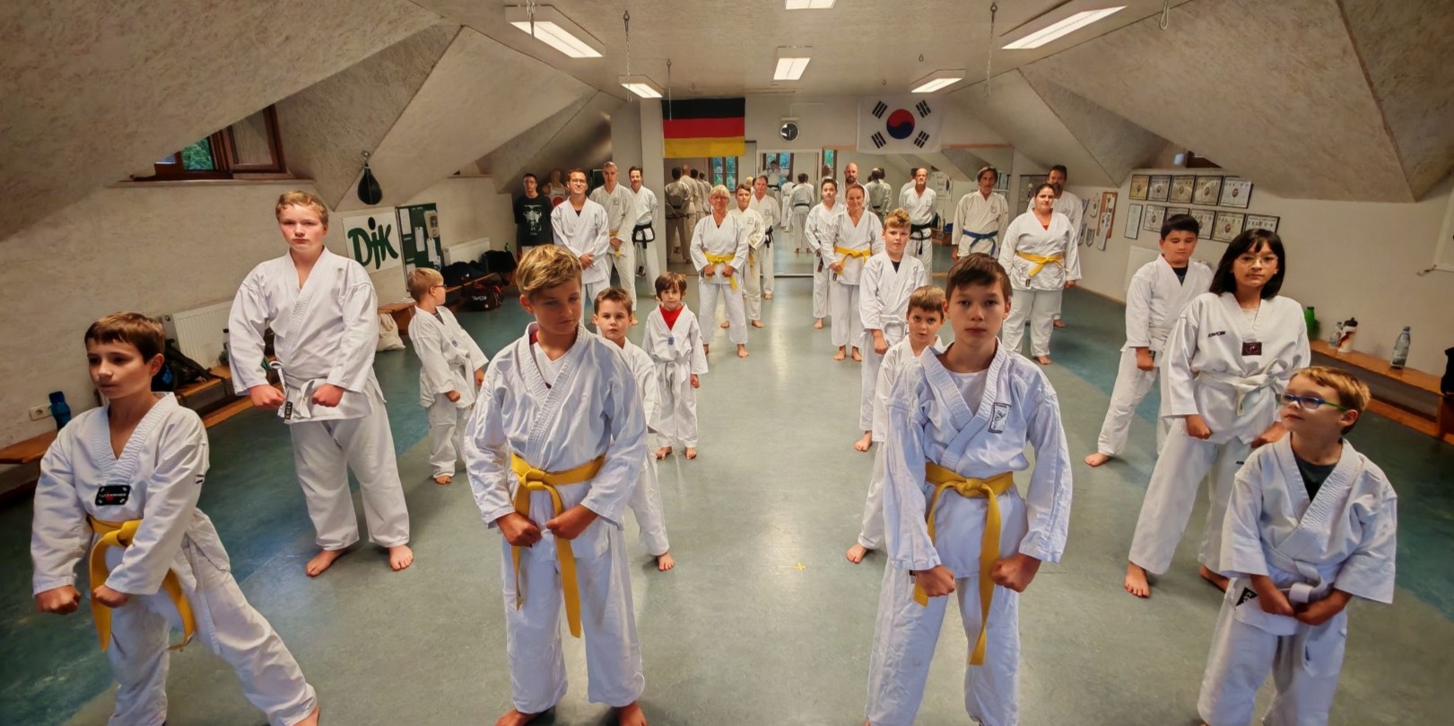 Main image of Taekwon-Do Wiesentheid
