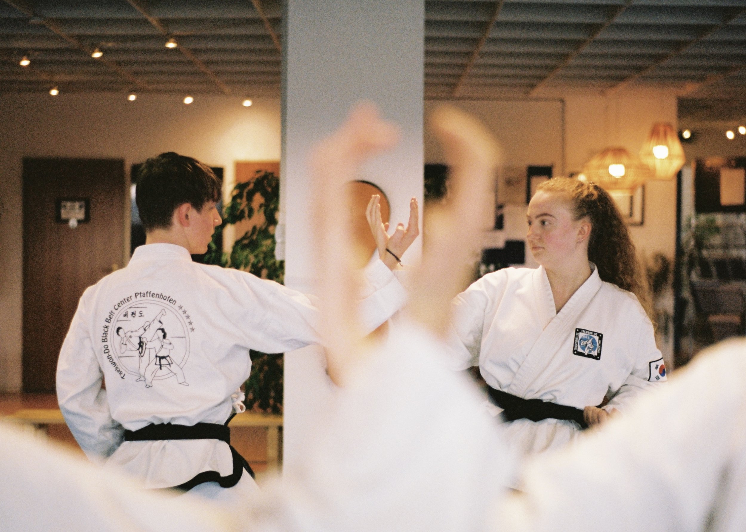 Main image of Taekwon-Do Zentrum Pfaffenhofen
