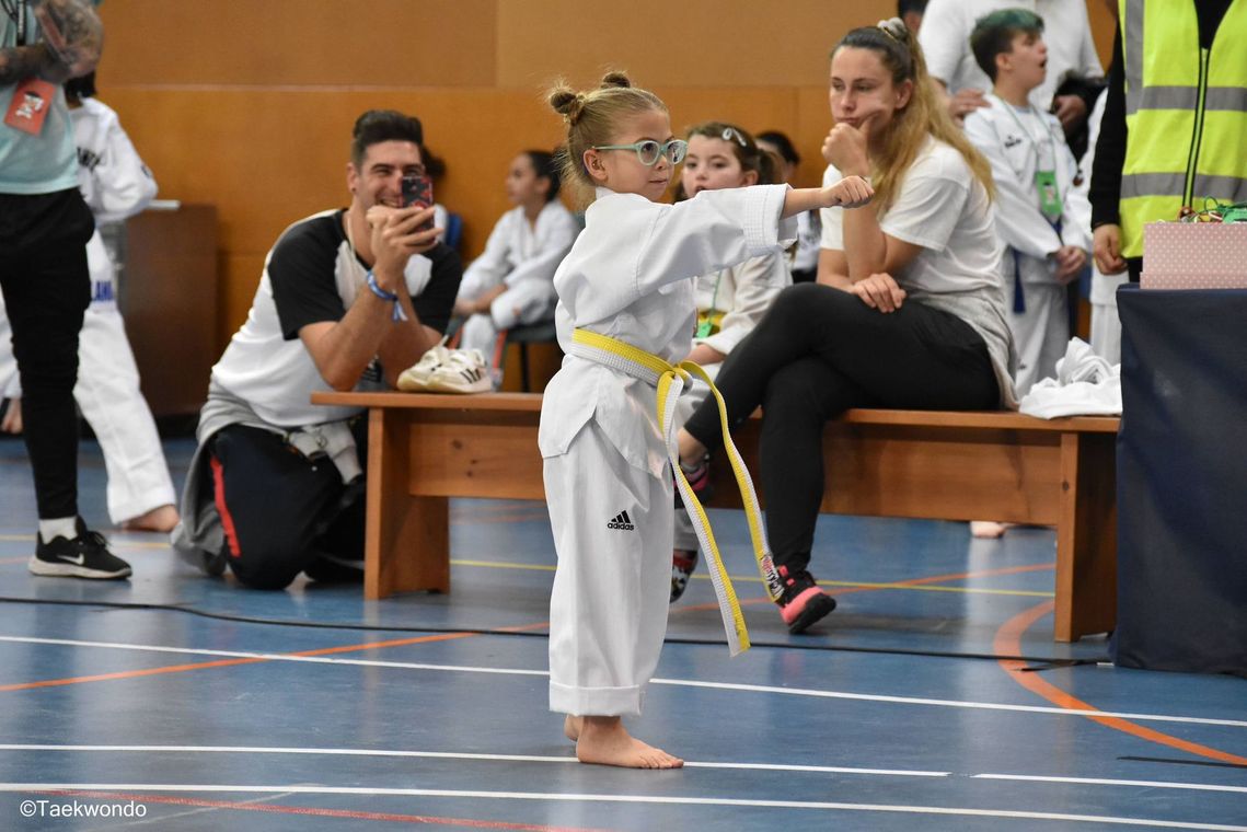 Main image of Taekwondo Bandal Granollers