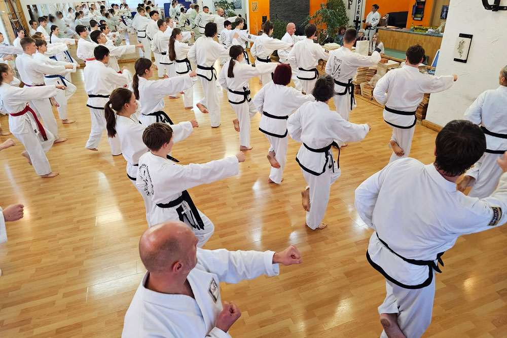 Main image of Taekwondo Center Pirna