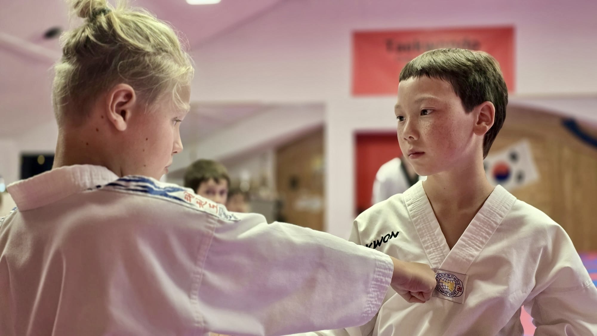 Main image of Taekwondo Club Unterallgäu