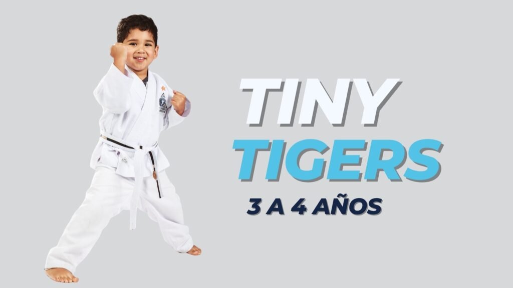 Main image of taekwondo community salamanca
