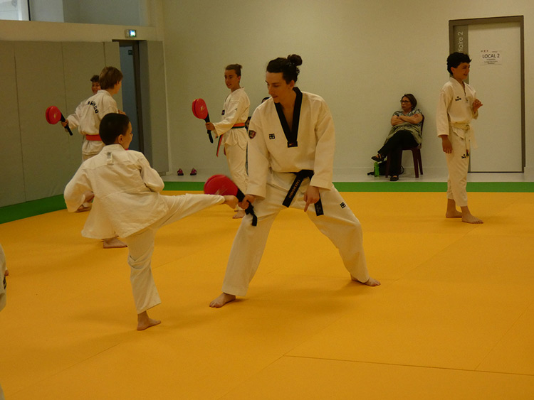 Main image of Taekwondo Hapkido Poitiers