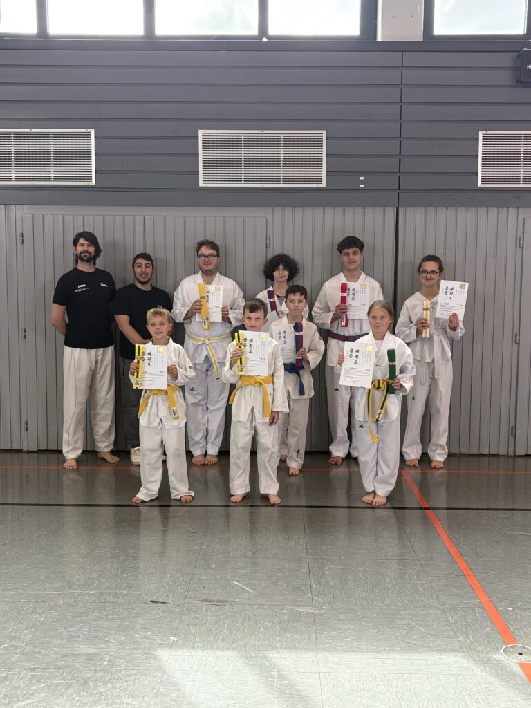 Main image of Taekwondo Hochwald E.v.