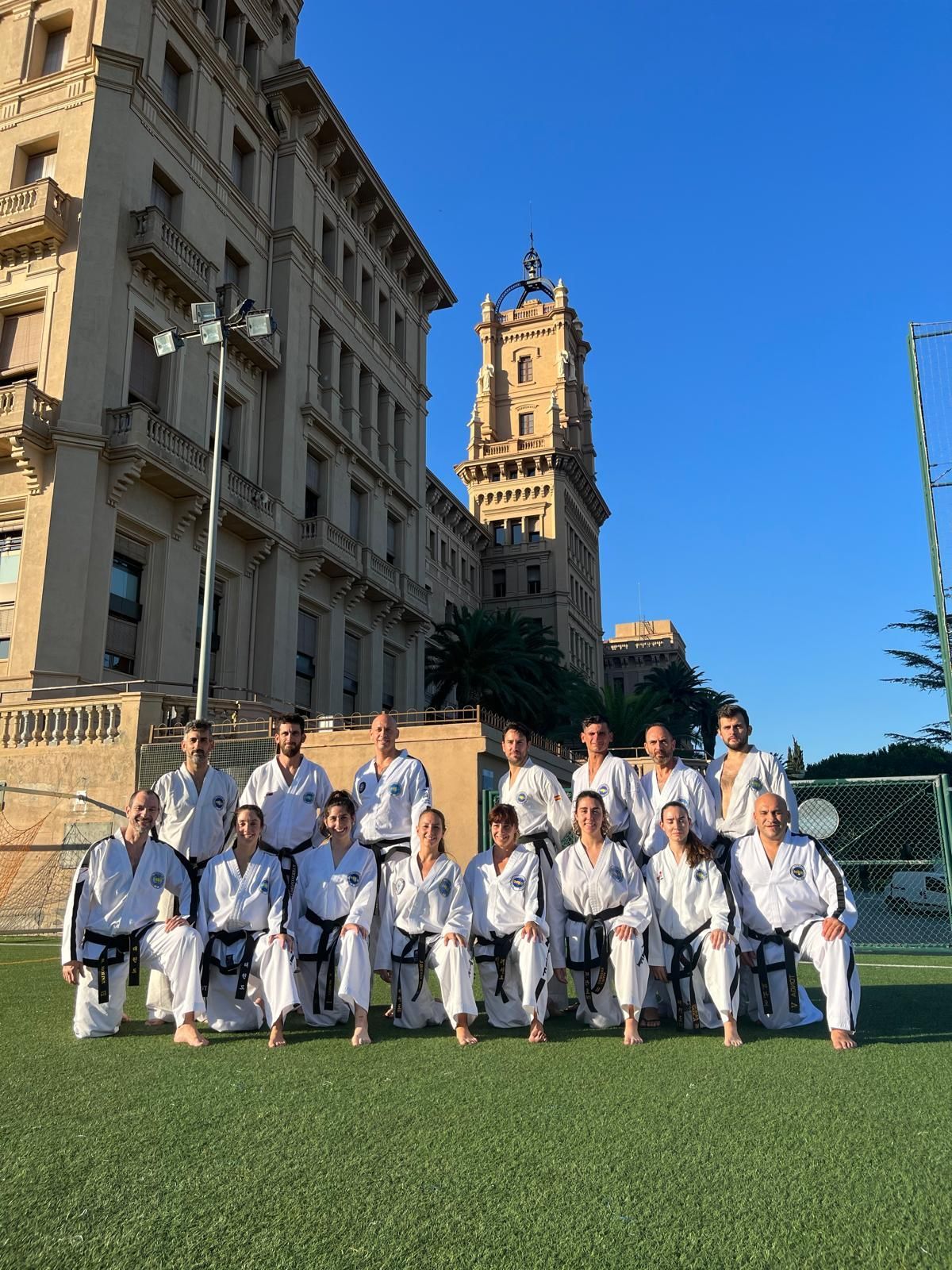 Main image of Taekwondo ITF (Escuela Internacional Taekwondo)