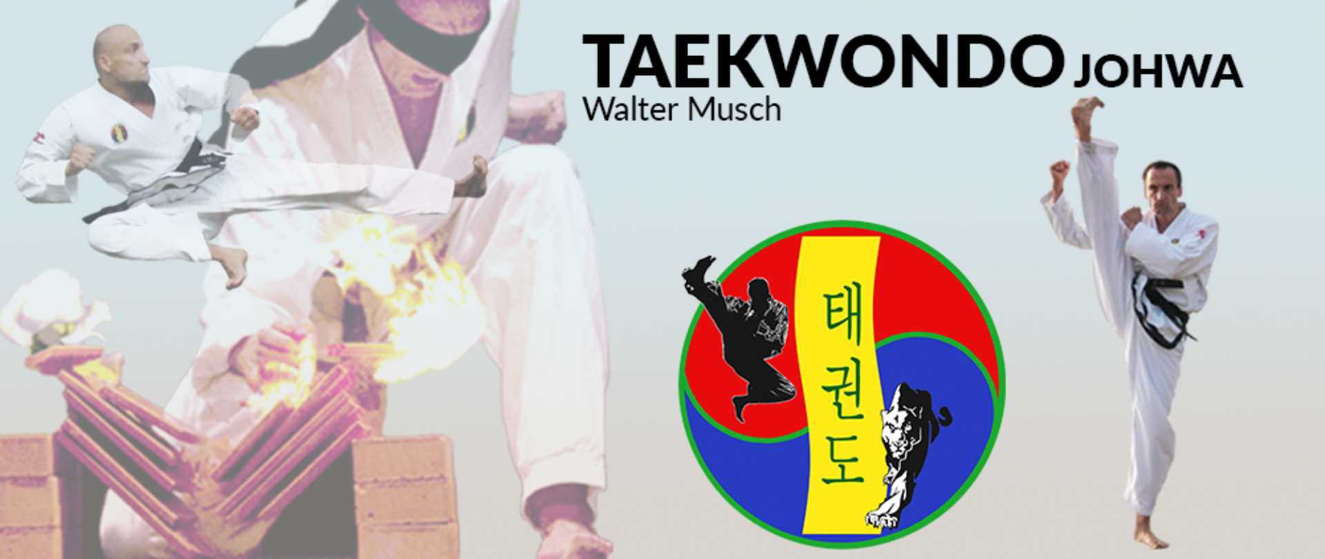 Main image of Taekwondo Johwa