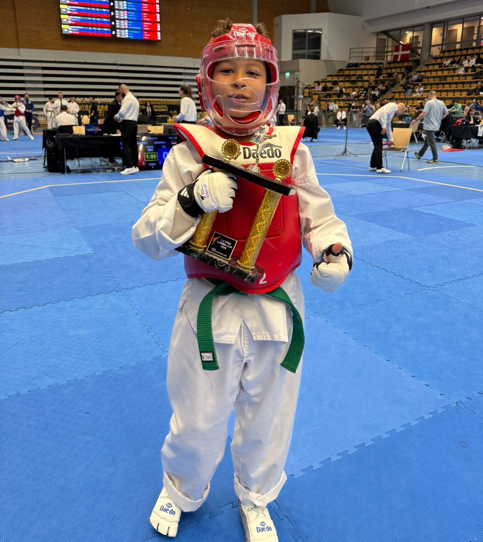 Main image of Taekwondo klubb Viking Dalarö