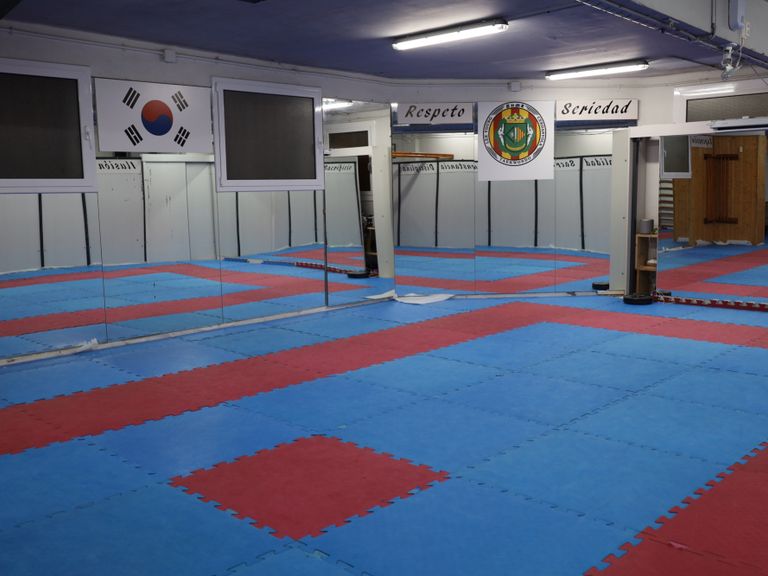 Main image of Taekwondo Lee Young