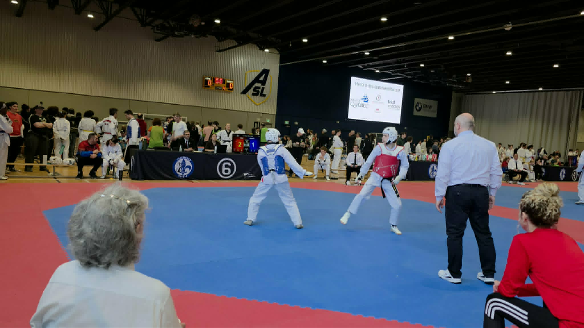 Main image of Taekwondo Louiseville