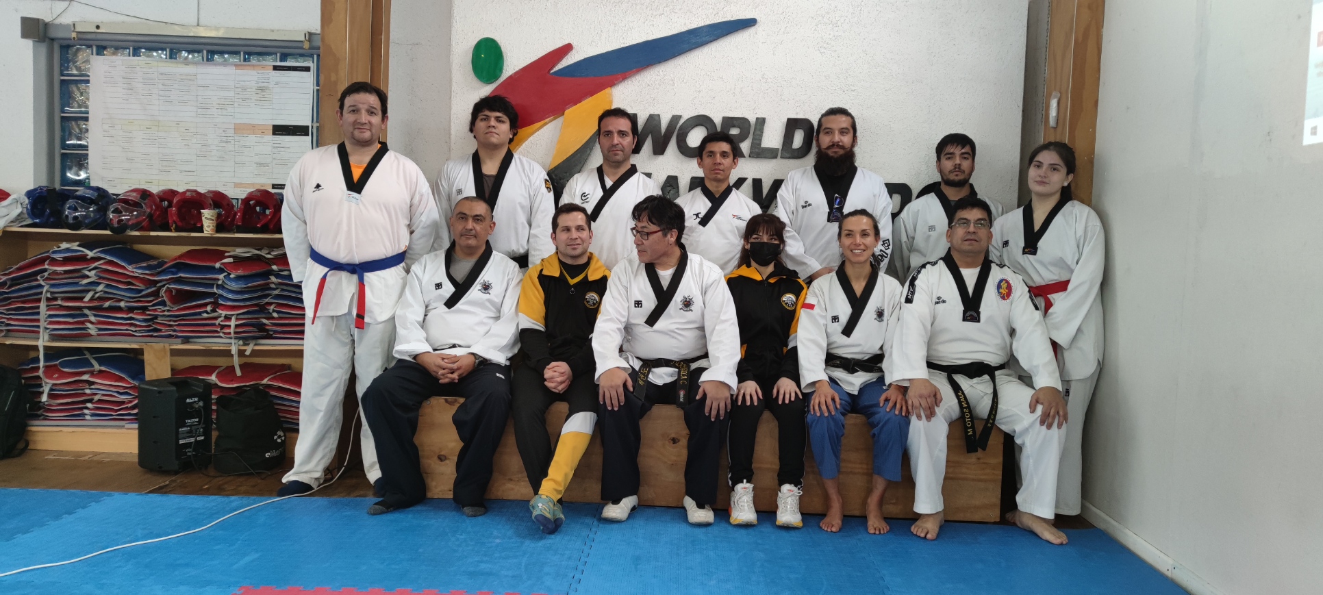 Main image of Taekwondo Revolution Kim
