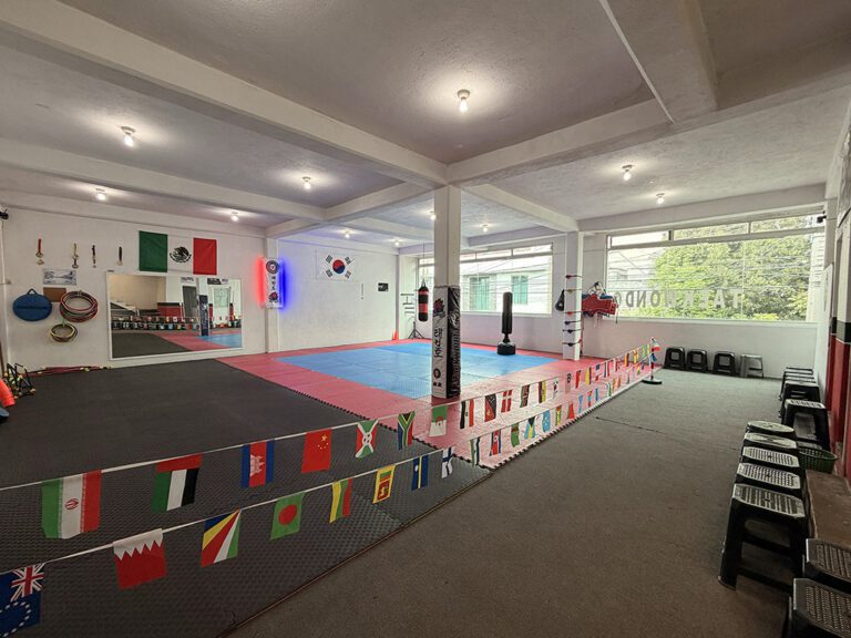 Main image of Taekwondo San Mateo Atenco