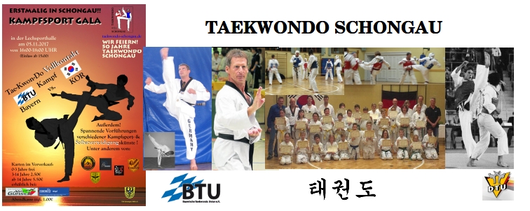 Main image of Taekwondo Schongau