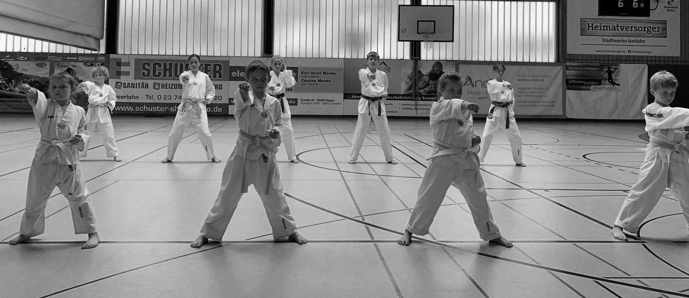 Main image of Taekwondo Sport Letmathe 2000