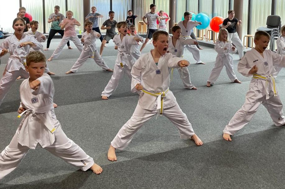 Main image of Taekwondo Sportverein Bad Westernkotten E.v.