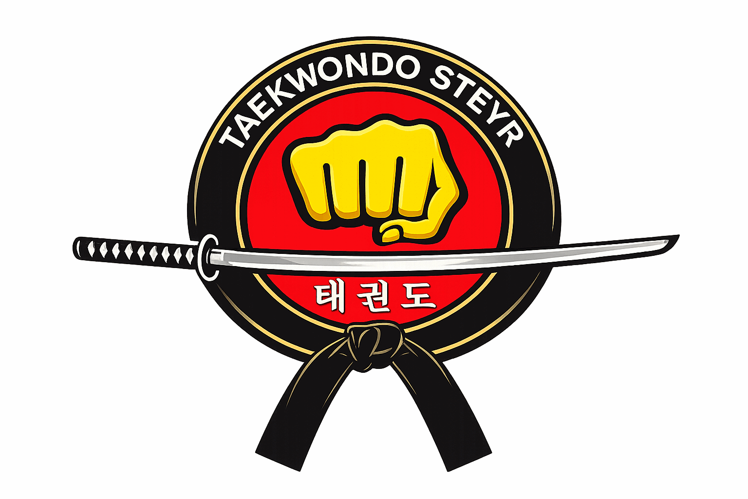 Main image of Taekwondo-steyr
