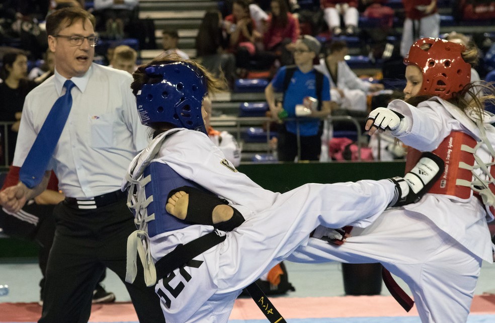Main image of Taekwondo Team Hereya