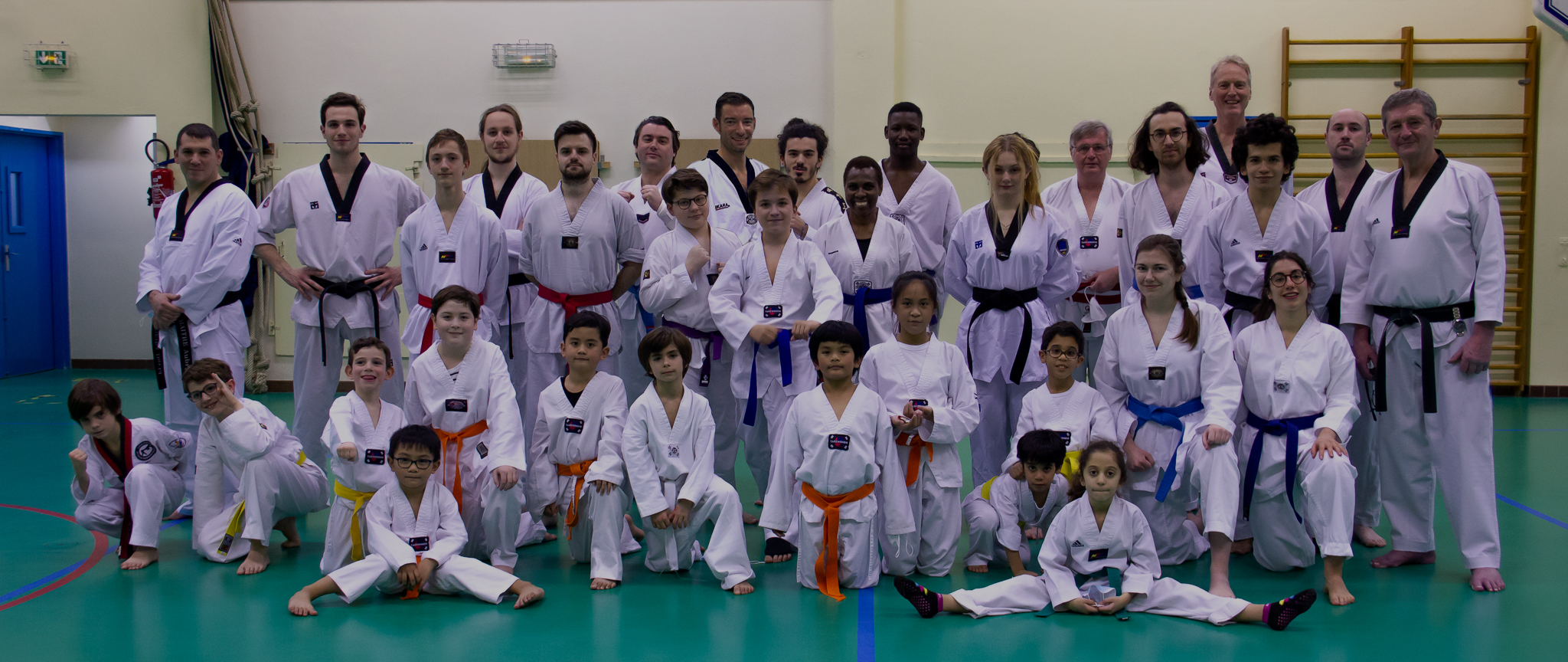 Main image of Taekwondo Traditional Source
