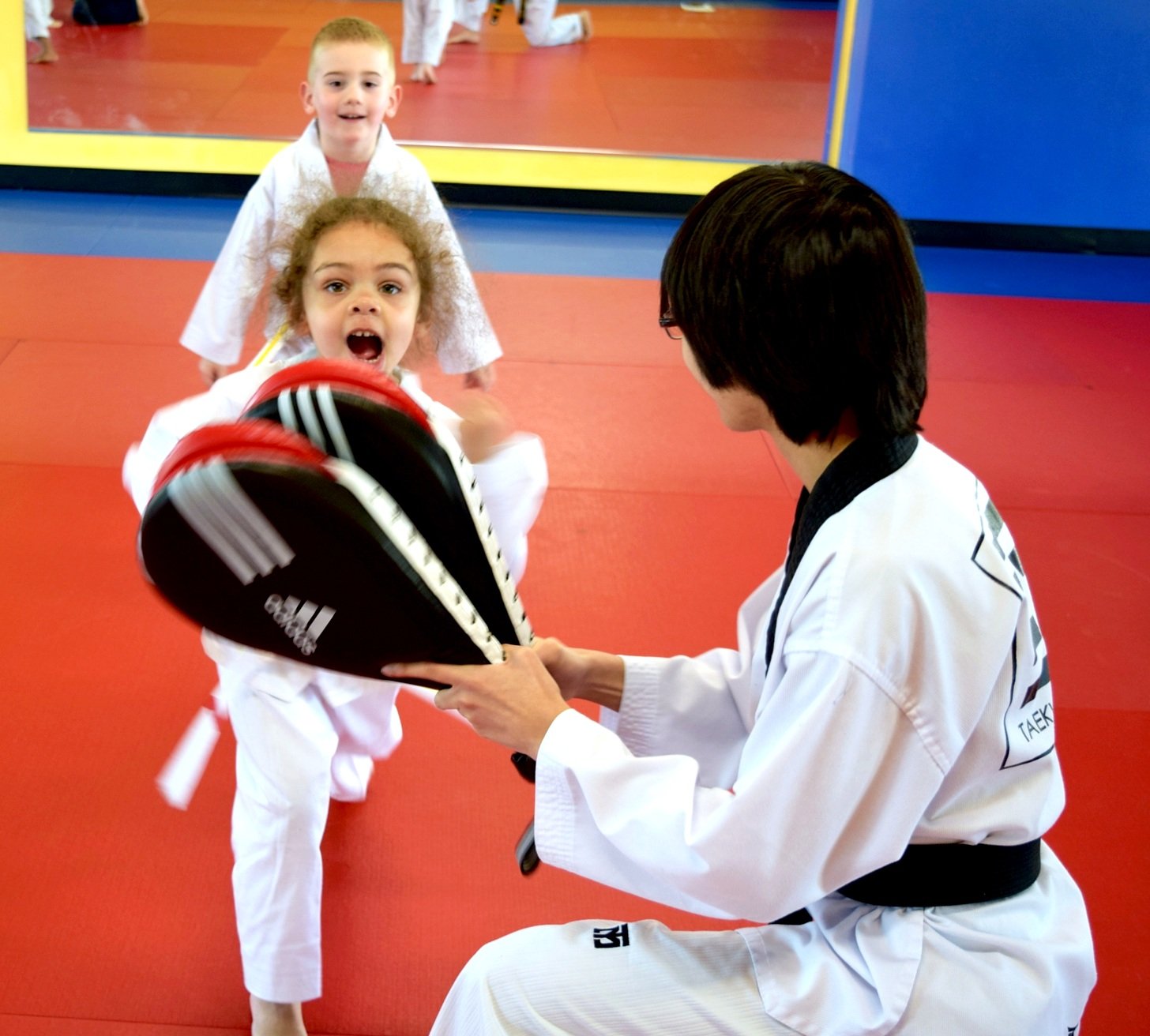 Main image of Taekwondo Way