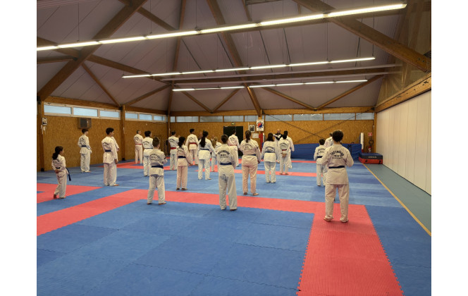 Main image of Taekwondo Yerrois