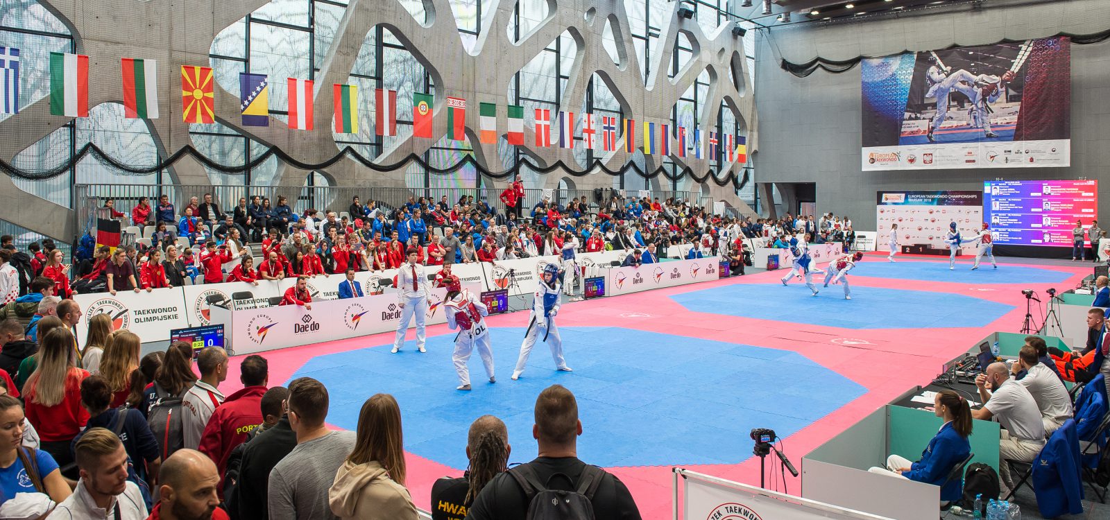 Main image of Taekwondo Zgorzelec