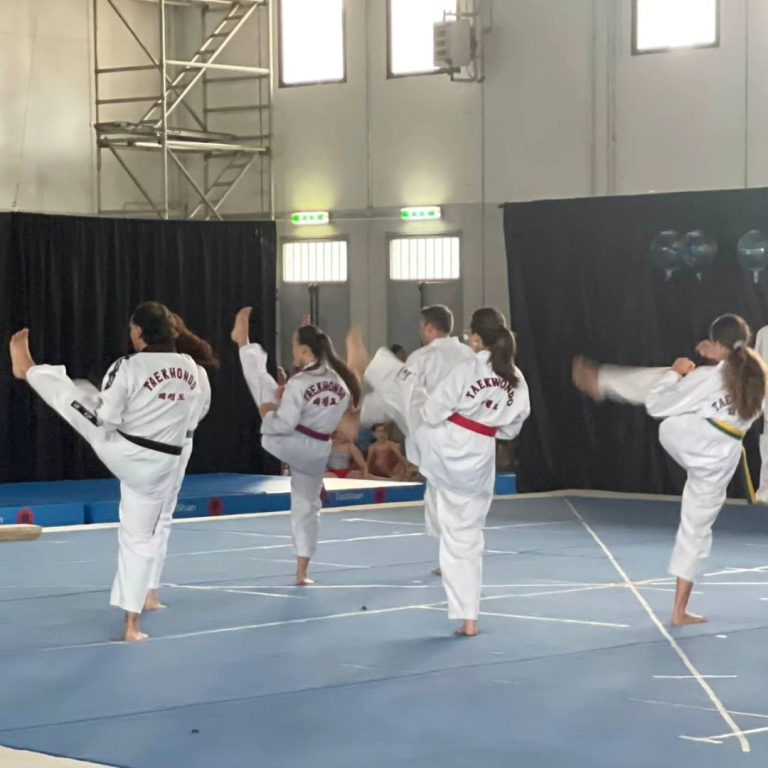 Main image of TaekwonDodo