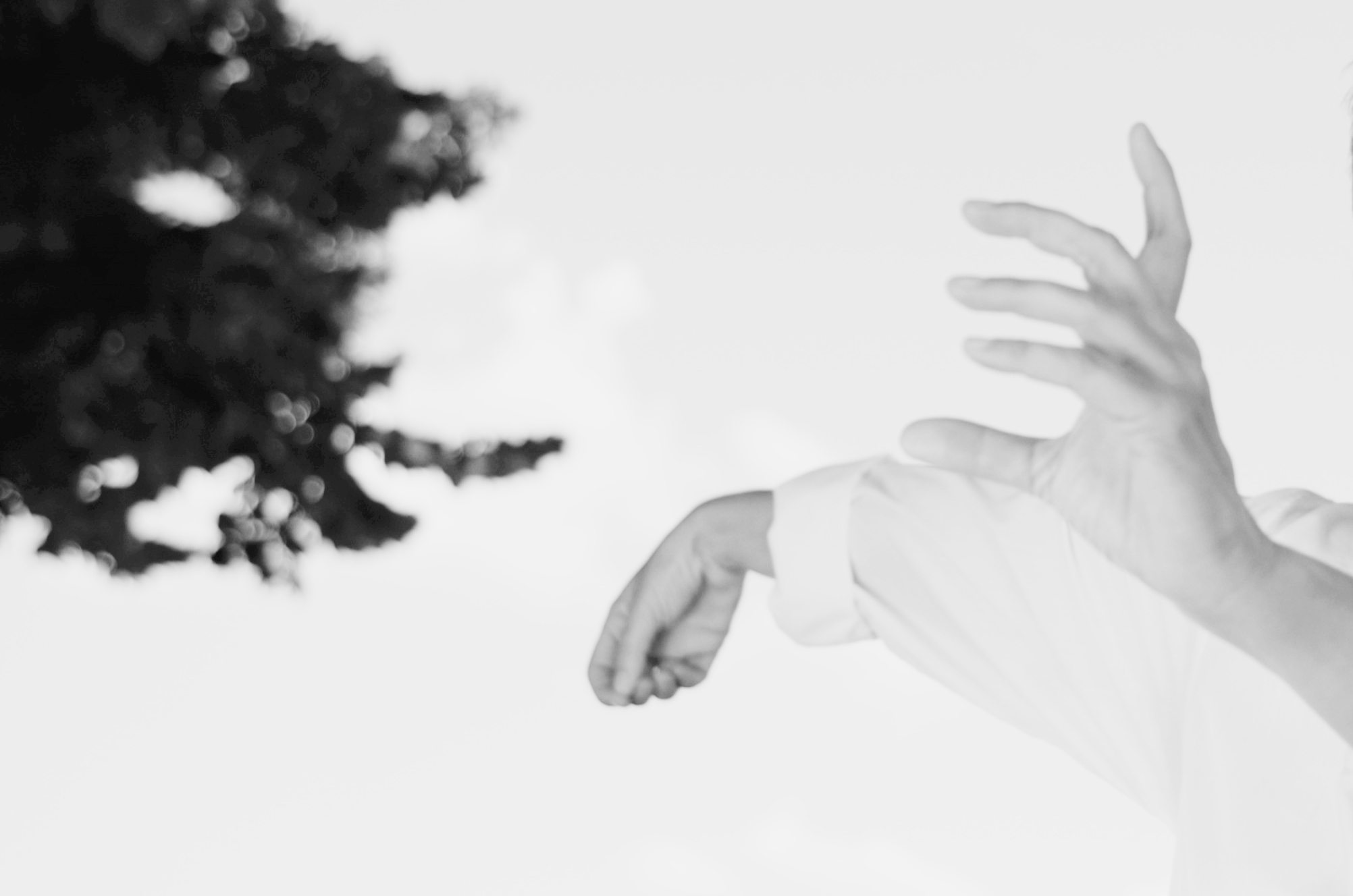 Main image of Tai Chi Chuan