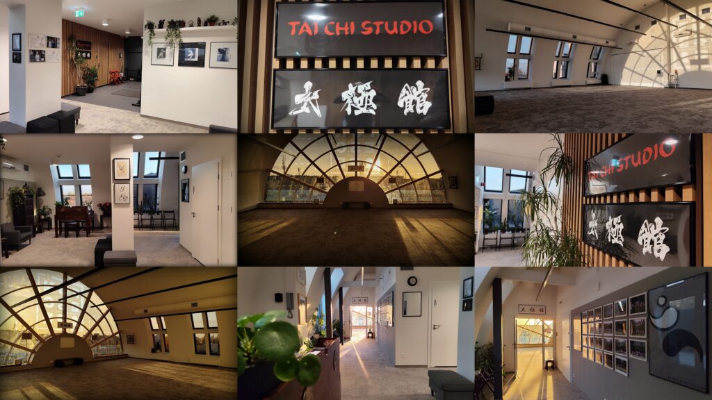 Main image of TAI CHI Szkoła Taijiquan Mariusza Sroczyńskiego
