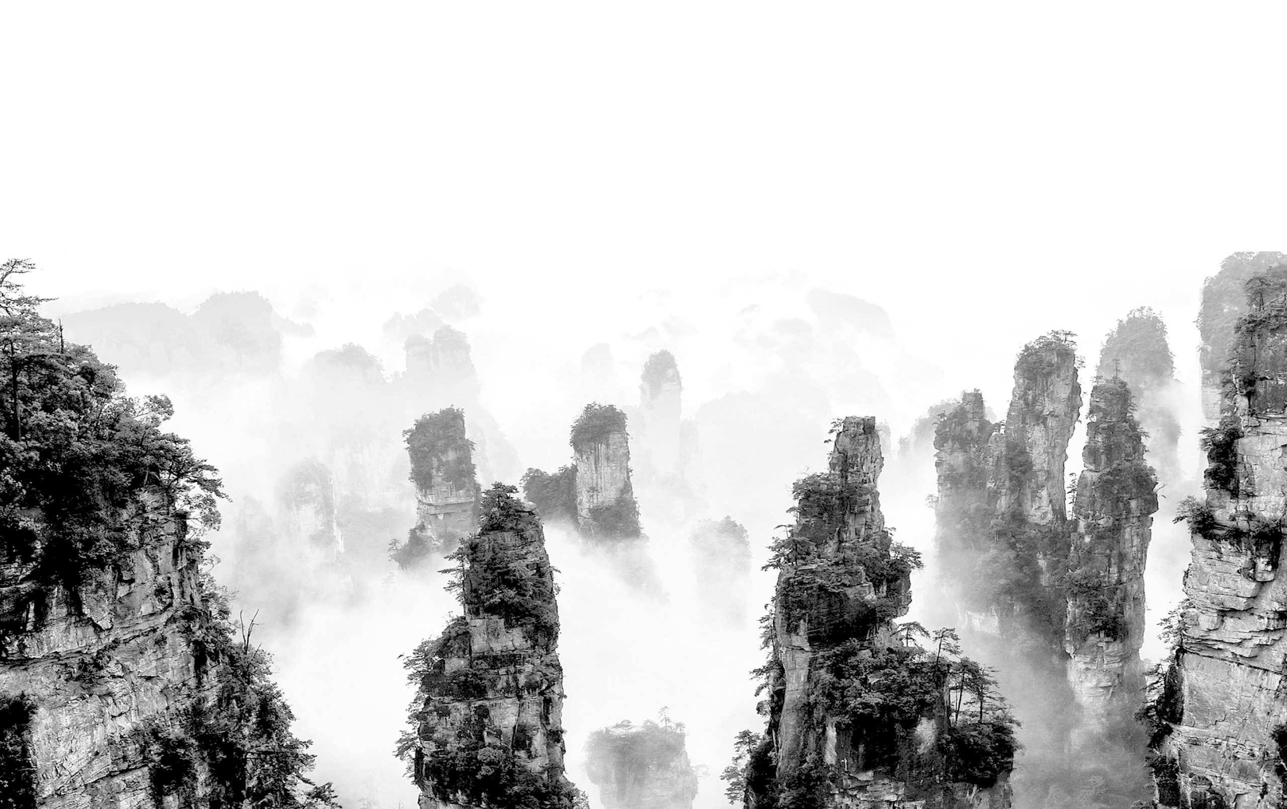 Main image of Tai Chi und Wing Chun Kung Fu Akademie