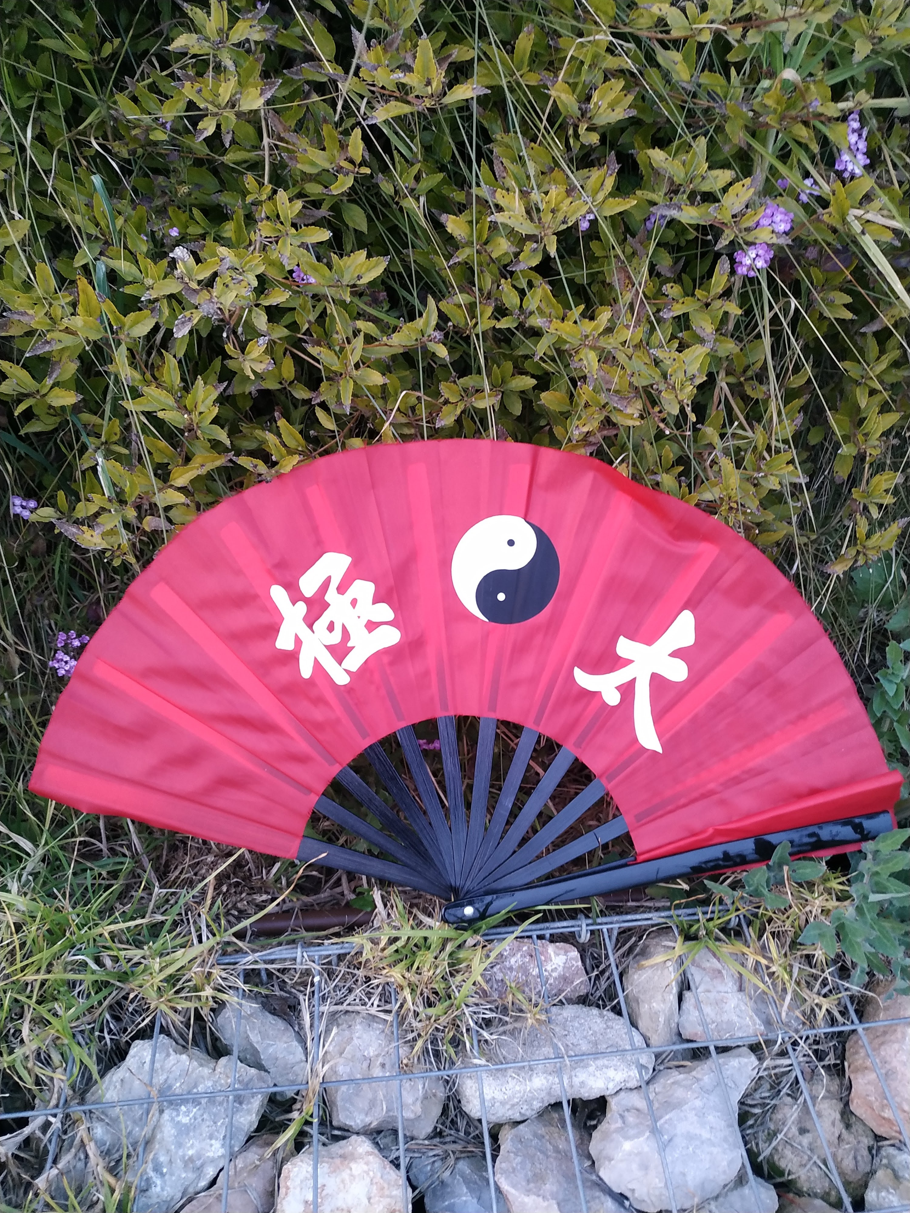 Main image of Tai-txi Dojo Masnou
