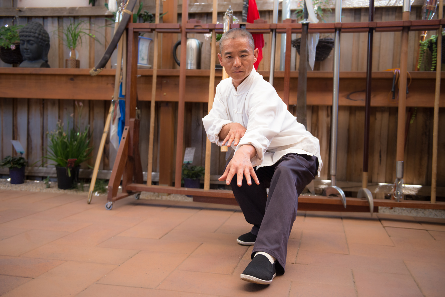 Main image of Taichi & Mandarin Solutions