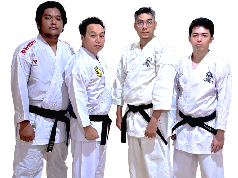 Main image of Taisei Dojo
