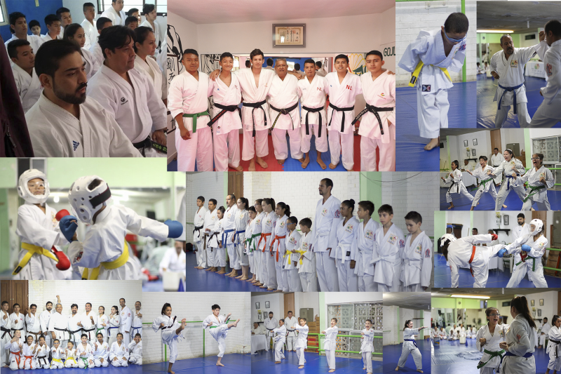 Main image of Taishukai Monterrey